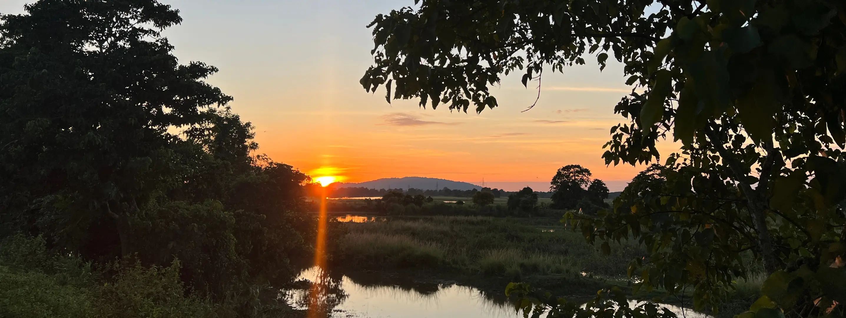 Kaziranga National Park